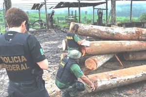Control de legalidad de la madera por parte del IBAMA.