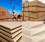 Las-cifras-de-2019-177x142