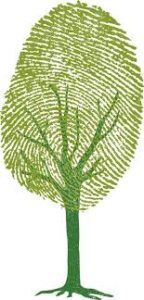 Arbol huella digital