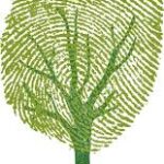 Arbol huella digital