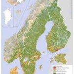FORESTS IN SWEDEN AND FINLAND