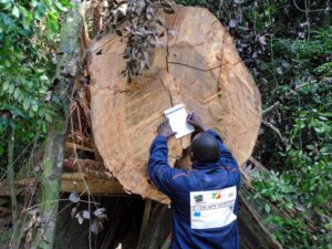 timber-trade-federation-competition-promotion-two_dezeen_2364_col_3-852x639