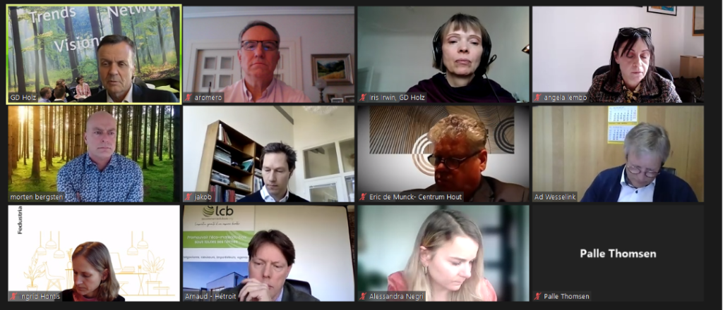 Vista parcial de los participantes en la video conferencia
