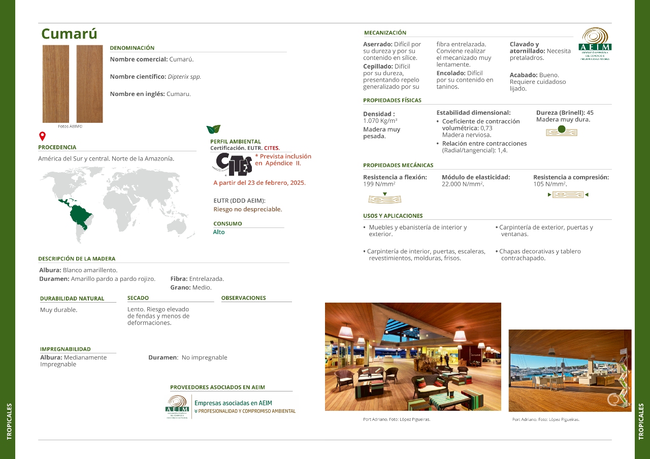 Cumarú. Biblioteca.