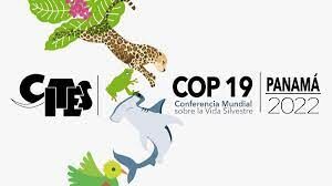 cop 19